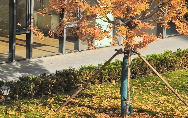 北京电子科技学院