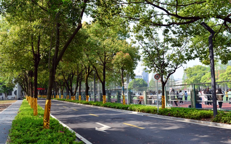 江汉艺术职业学院