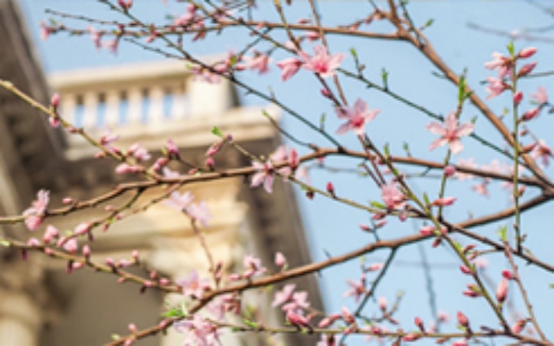 武汉商贸职业学院