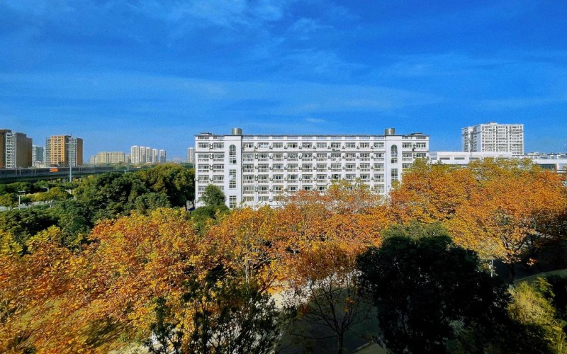 武汉商贸职业学院