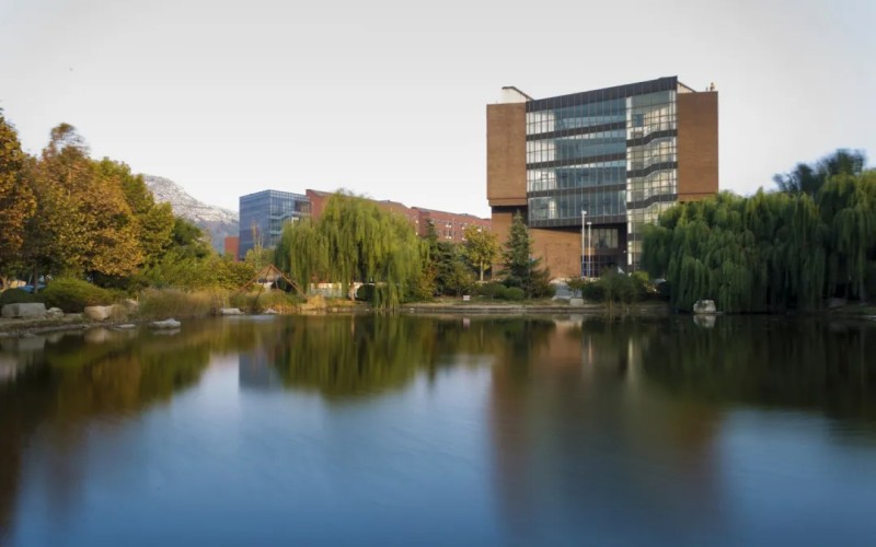 山东工艺美术学院