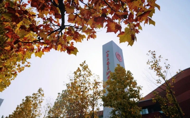 山东工艺美术学院