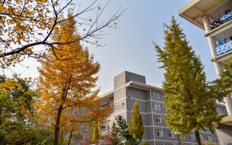 山东轻工职业学院