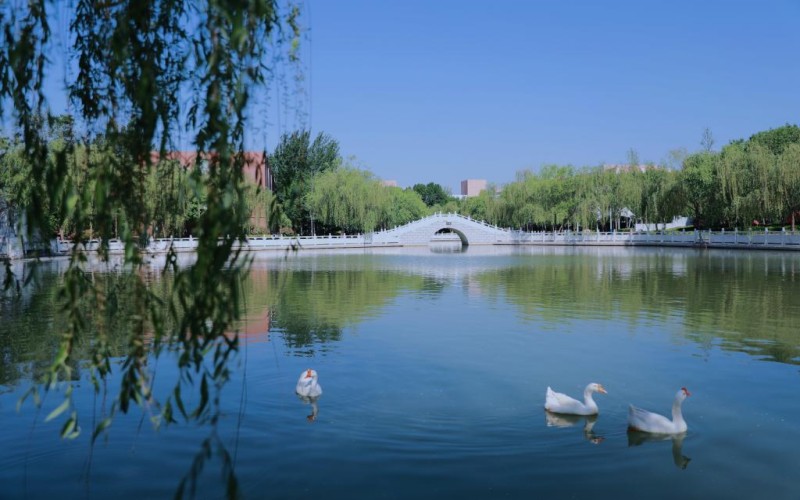 菏泽医学专科学校