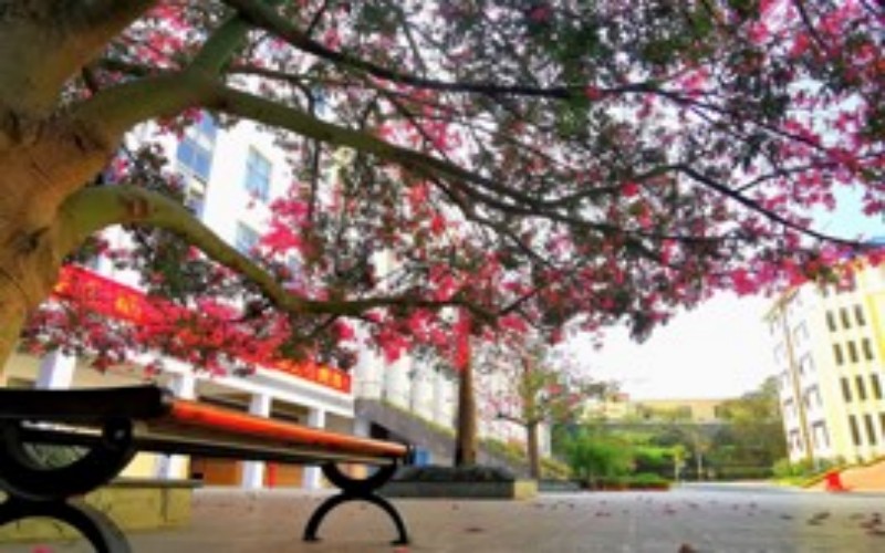 广西卫生职业技术学院