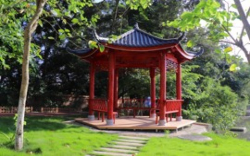 广西卫生职业技术学院