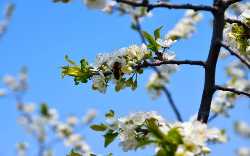 辽宁地质工程职业学院