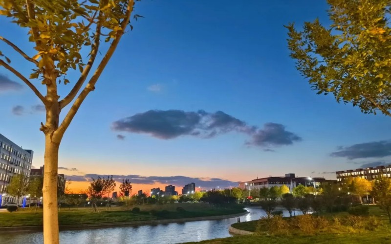 山东信息职业技术学院