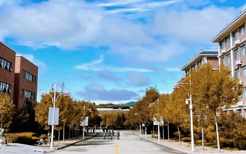 山东力明科技职业学院