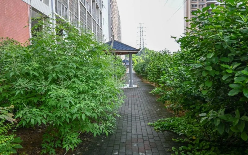 广东江门中医药职业学院