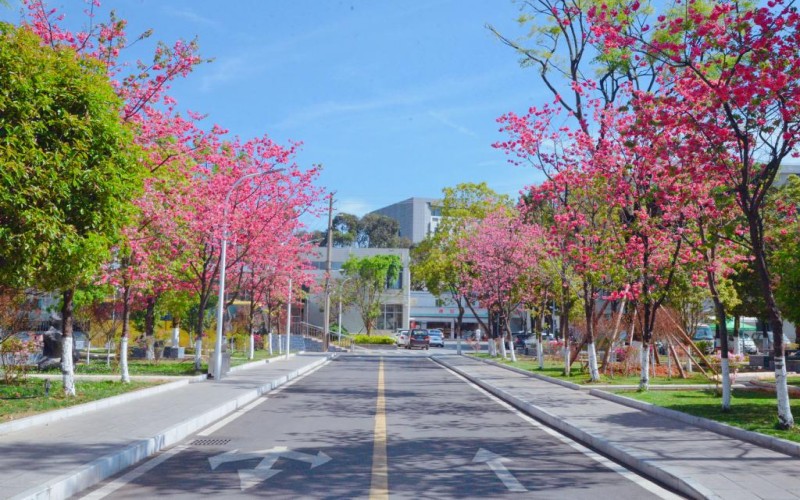 云南体育运动职业技术学院