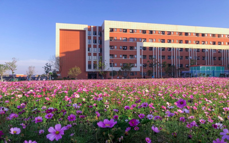 南昌影视传播职业学院