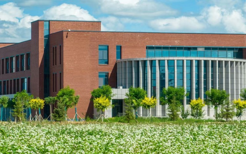 内蒙古艺术学院