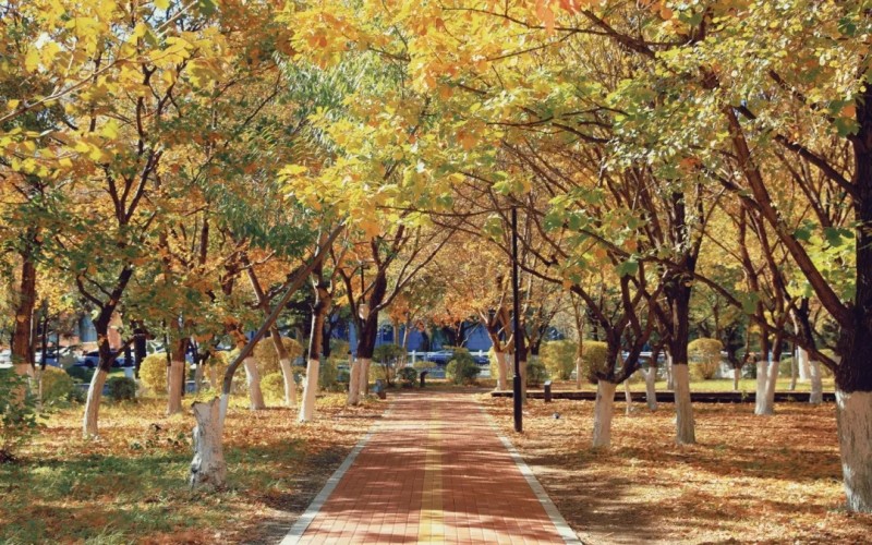 长春职业技术学院