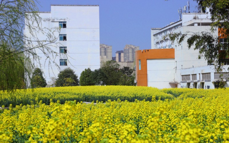 川北幼儿师范高等专科学校