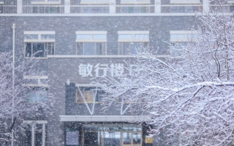 山东青年政治学院