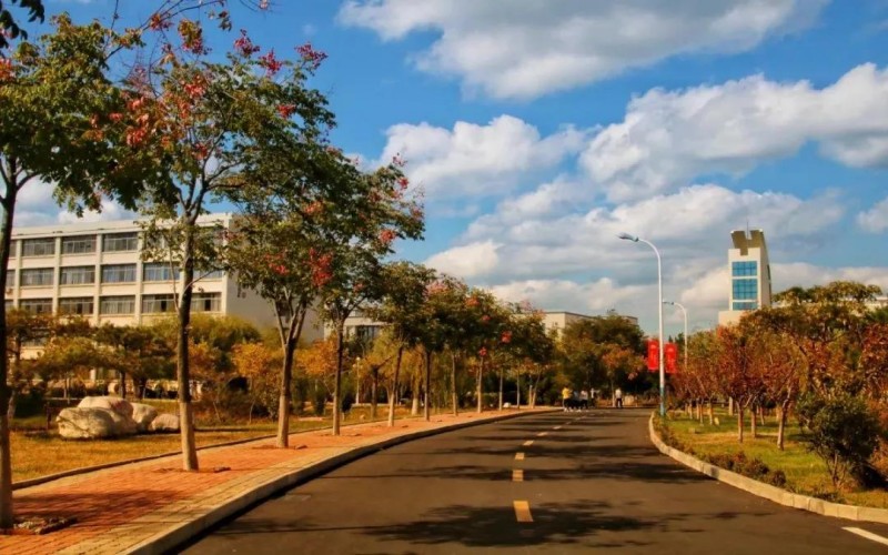 山东药品食品职业学院
