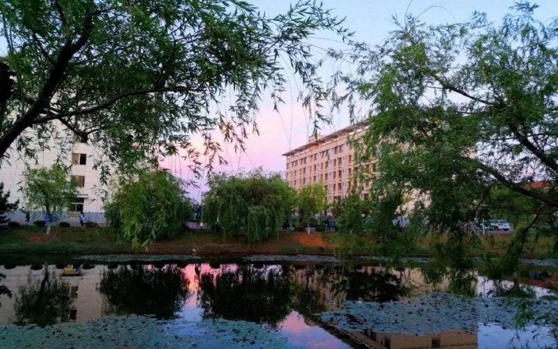 山东药品食品职业学院