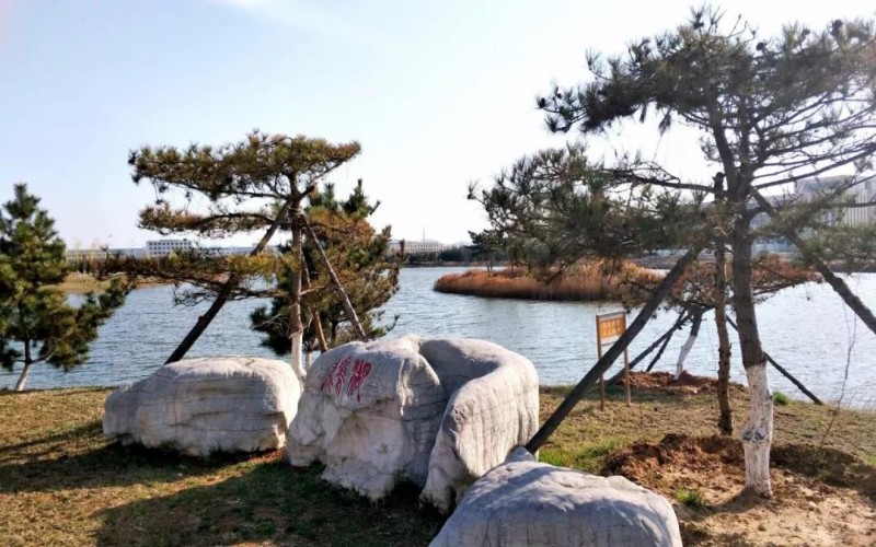 山东药品食品职业学院