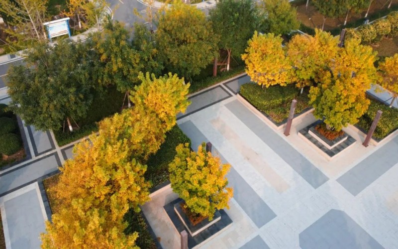 邢台应用技术职业学院