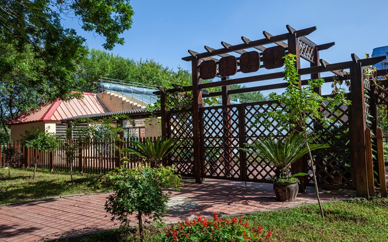 阜新高等专科学校