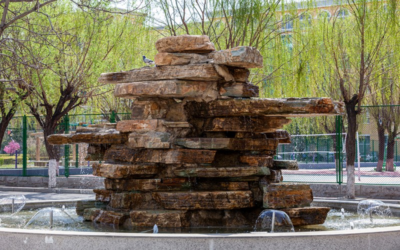 阜新高等专科学校