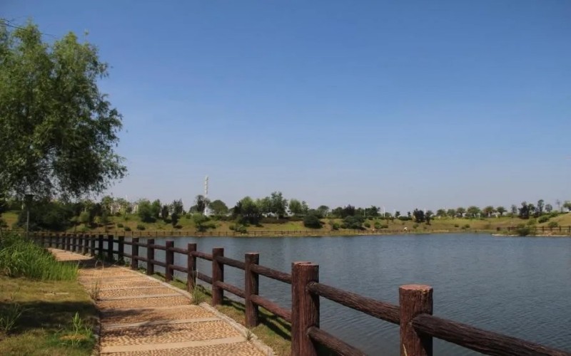 广西科技职业学院