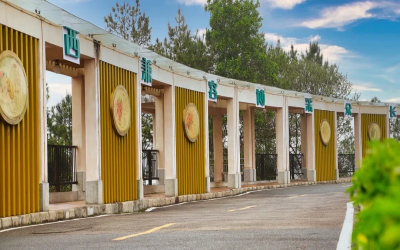 广东省外语艺术职业学院