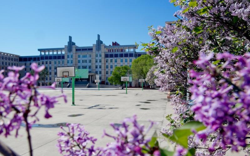 黑龙江交通职业技术学院