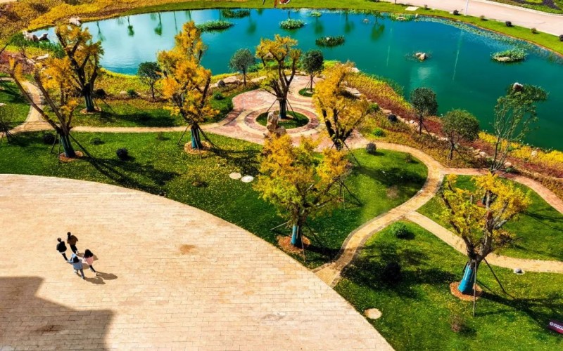 云南经贸外事职业学院