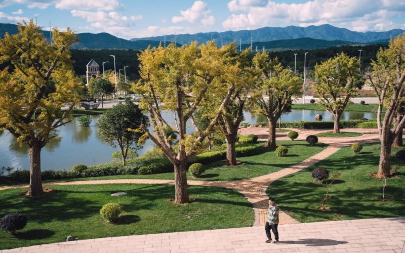 云南经贸外事职业学院