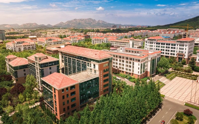 山东外国语职业技术大学