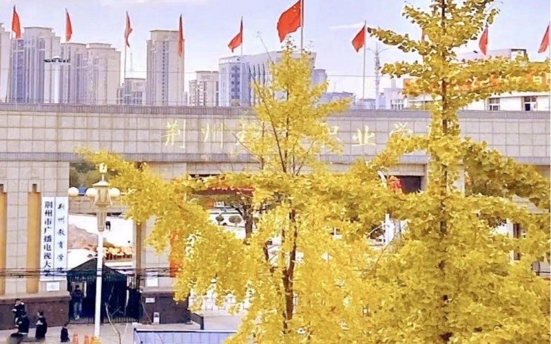 荆州理工职业学院