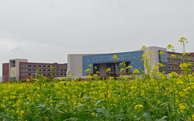 内蒙古建筑职业技术学院