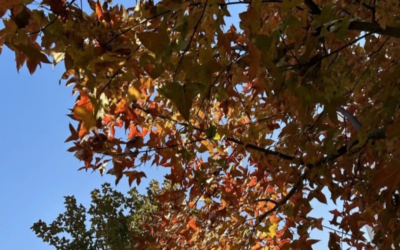 江西师范高等专科学校