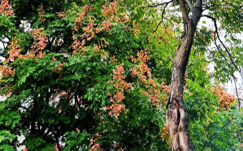 江西师范高等专科学校