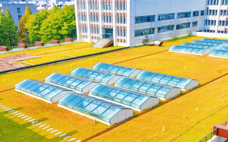 武汉城市职业学院