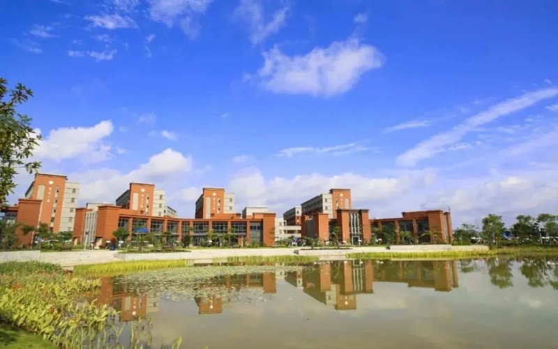 广西国际商务职业技术学院