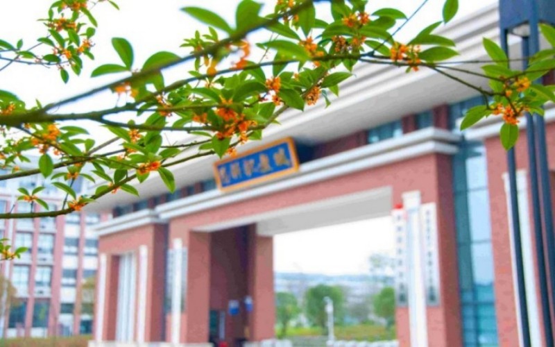 郴州思科职业学院