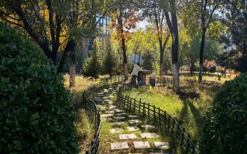 山西中医药大学