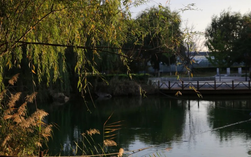 辽宁农业职业技术学院