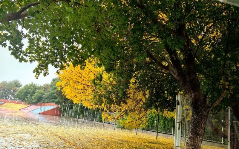 辽宁农业职业技术学院