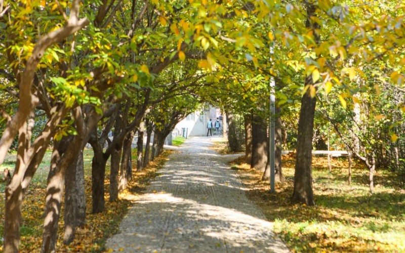 山东圣翰财贸职业学院