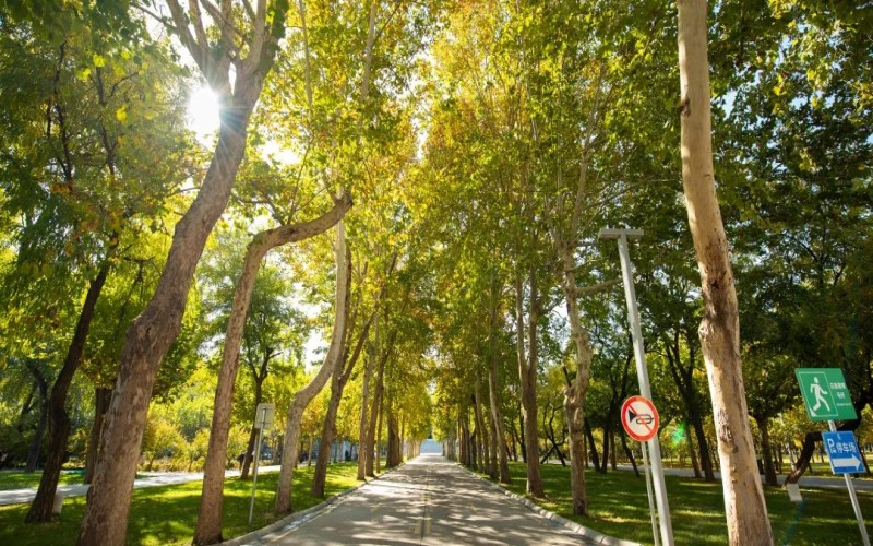 山东圣翰财贸职业学院