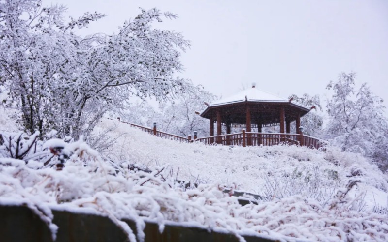 新疆天山职业技术大学