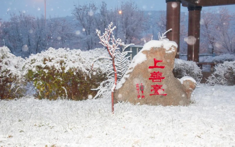 新疆天山职业技术大学