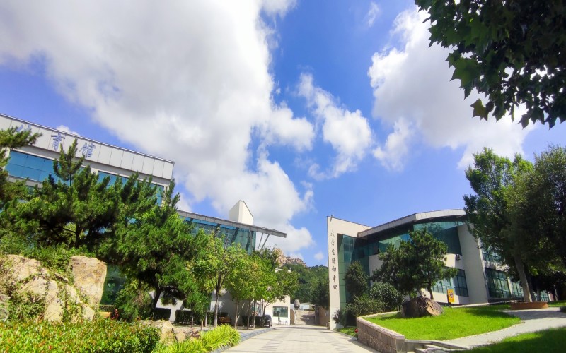 青岛黄海学院